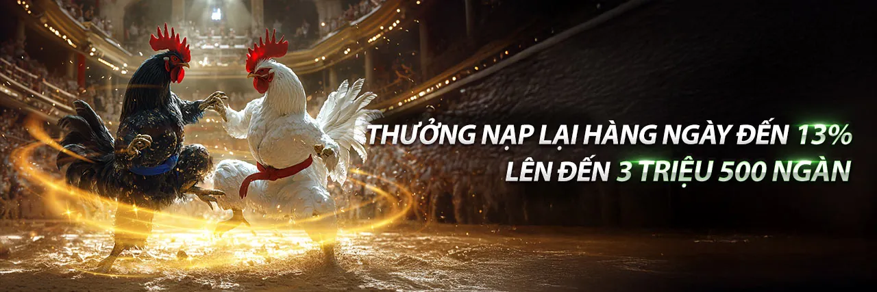 Đá Gà Trực Tuyến hl8 bet 2026
