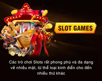 Lãnh Đạo Cấp Cao hl8 bet